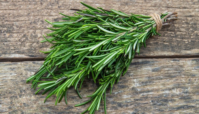 شركة أوبن أيه آي