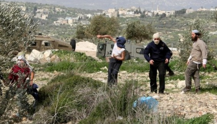 إصابات باعتداء مستوطنين على الأهالي في جنوب الخليل
