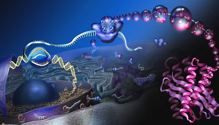 اختبارات الحمض النووي: