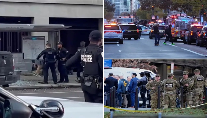 الكشف عن جنسية مطلق