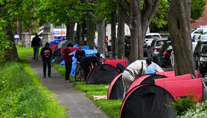 انخفاض حاد في أعداد