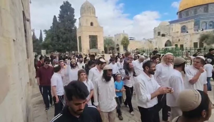5256 مستوطناً اقتحموا الأقصى خلال أسبوع الأعياد اليهودية