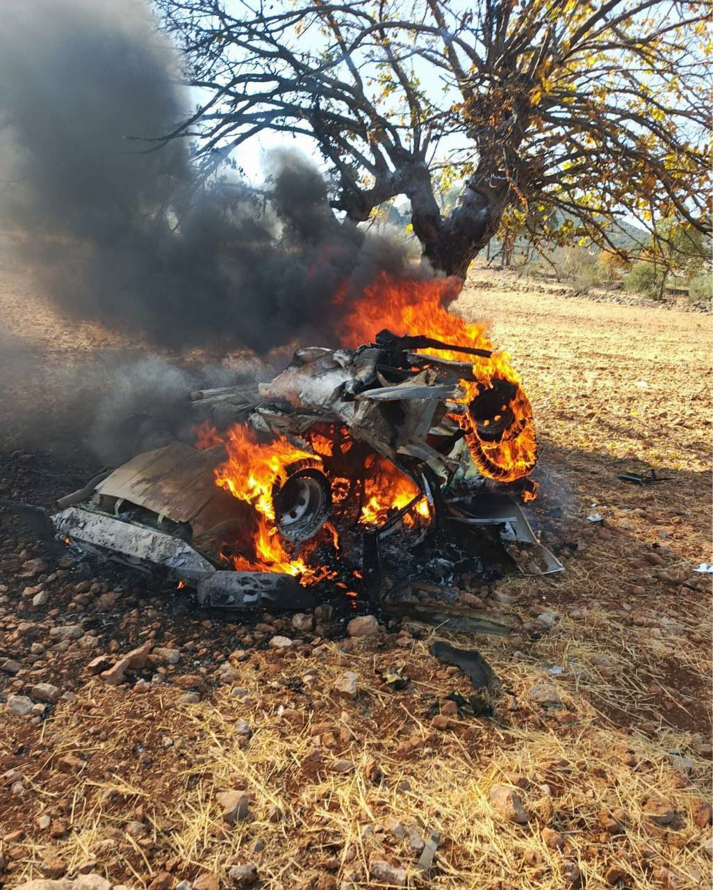 استشهاد شقيقين في