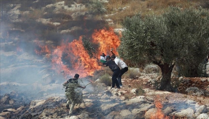 مستعمرون يضرمون النار