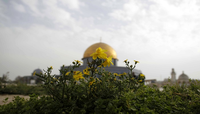 حالة الطقس: ارتفاع