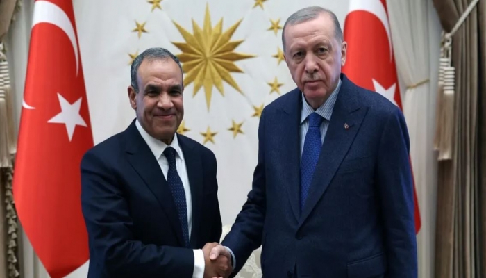وزير الخارجية المصري ينقل رسالة خطية من السيسي إلى أردوغان