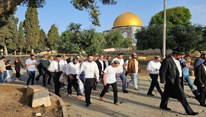 عشرات المستوطنين