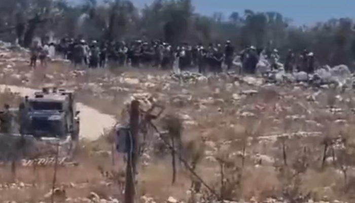 المملكة المتحدة تدين هجمات المستوطنين على بروقين غرب سلفيت
