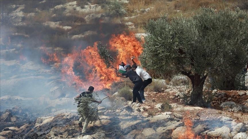 مستوطنون يحرقون أراضٍ زراعية في رام الله ويؤدون طقوساً استفزازية في سلفيت
