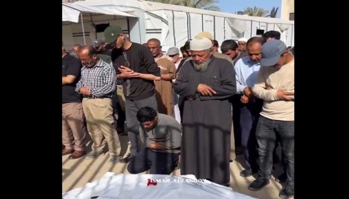 الصحة بغزة: 19 شهيدا و 81 إصابة وصلوا المستشفيات خلال 24 ساعة