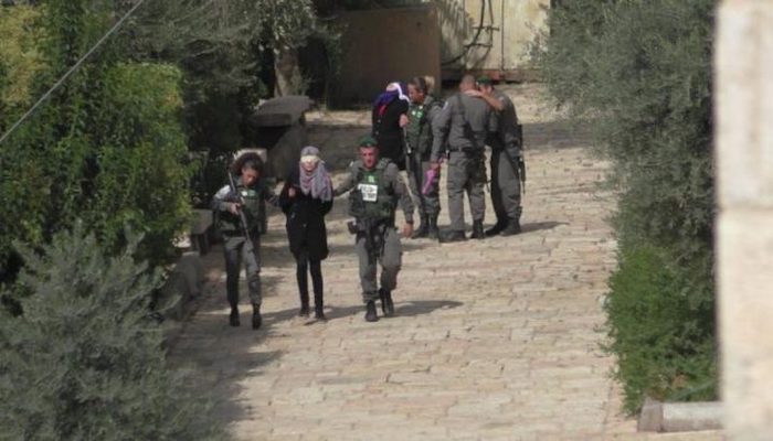 الاحتلال يحوّل الطفلة هناء حمّاد من الخليل إلى الاعتقال الإداري لمدة 4 أشهر
