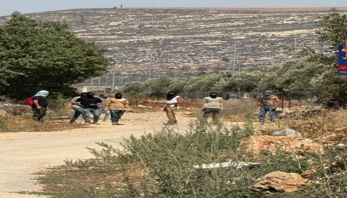 مستوطنون يهاجمون بلدة ترمسعيا
