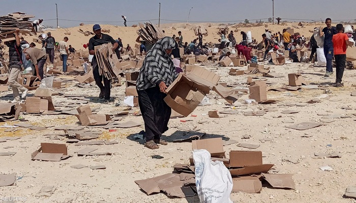 الأمم المتحدة تكشف عدد 