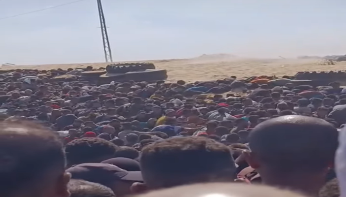 اختناقا وبالرصاص.. جريمة وحشية ارتقى فيها 21 فلسطينيا من منتظري المساعدات 
