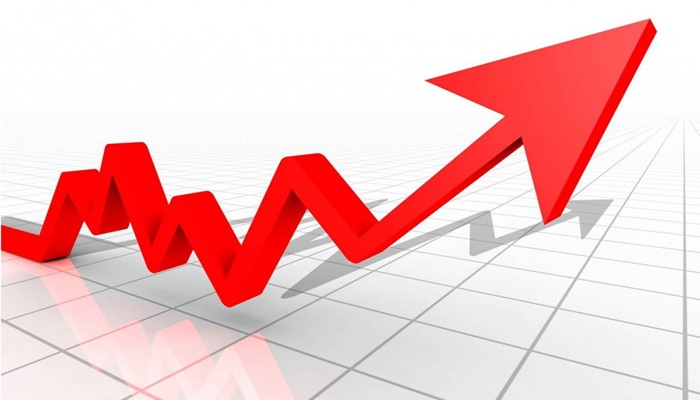 الإحصاء: ارتفاع مؤشر أسعار الجملة بنسبة 11.78% خلال الربع الثاني من العام الجاري
