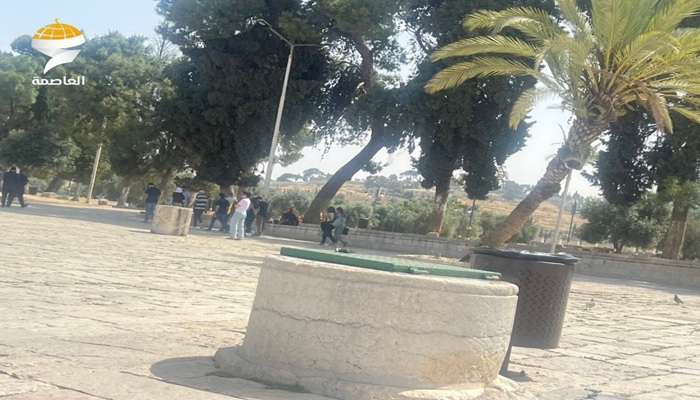 مستعمرون يقتحمون المسجد الأقصى

