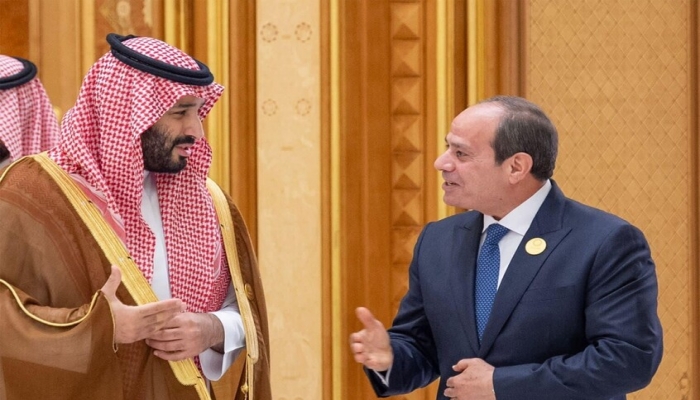 السيسي وبن سلمان يوجهان رسالة إلى إسرائيل
