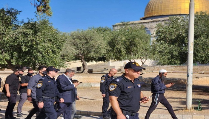 أكثر من 1250 مستوطنا