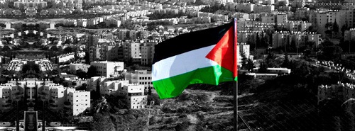 فلسطين عضو في 'إدارة'