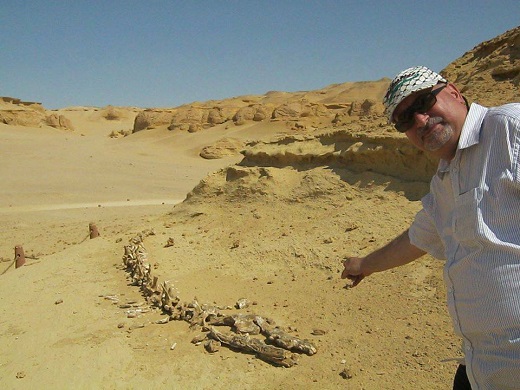 البروفيسور الفلسطيني نورمان: