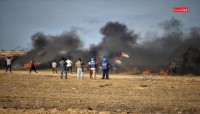 الصحة بغزة: 28 إصابة