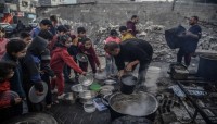 أطباء بلا حدود: ربط