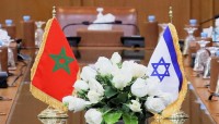 حكومة الاحتلال تعيّن