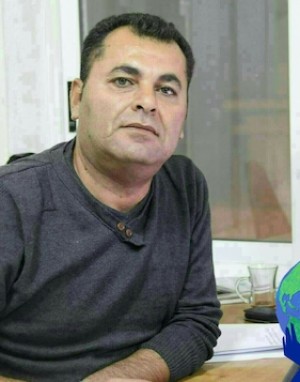 الأشجار تنام على