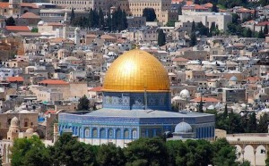 فلسطين داري
لـ الكاتب: