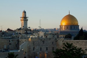 القدس ؛ وردة السُّور
المتوكل