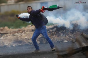 ميلاد الأمل في أزقة