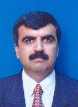 عن فدوى طوقان (الحمامة