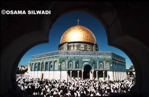 أسامة السلوادي ..