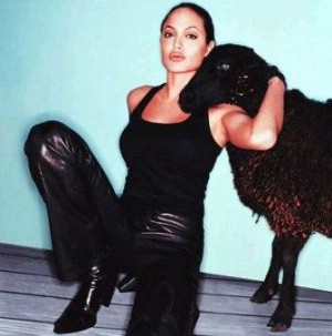  انجلينا جولي تهنئ