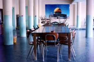 برنامج حافل للمتحف