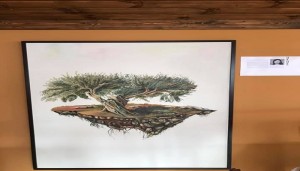 هروب الأرض.. مشروع