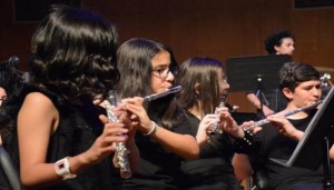 الممثلية التشيكية