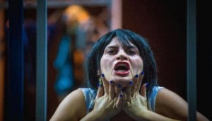 المؤسسات الثقافية