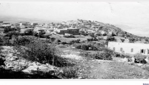  قرية ساريس المهجرة..