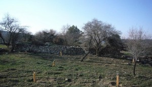 قرية بيت أم الميس