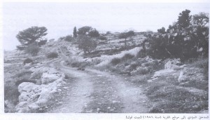 قرية بيت ثول المهجرة..