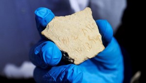 ترجمة الحدث| خبيرة