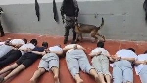 هيئة الأسرى: شهادات