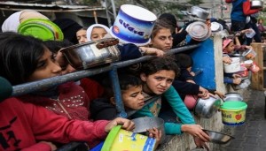 فضيحة اختفاء نصف