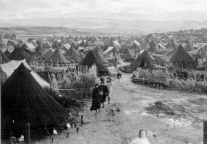 المخيّم....
لـ: أنور